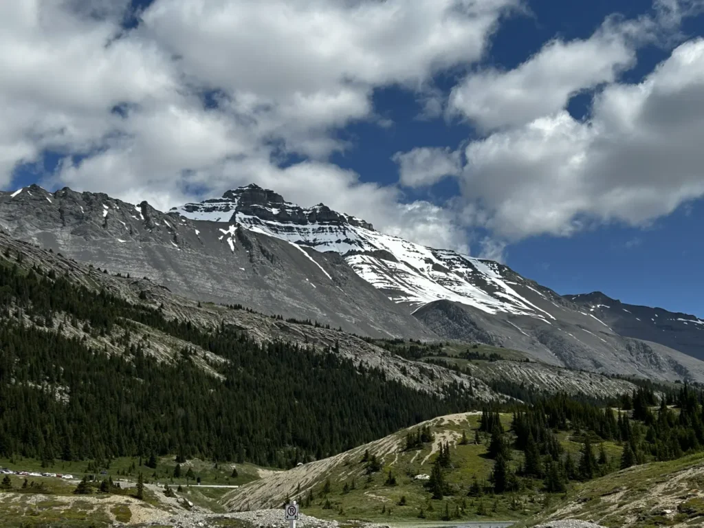 Mount Wilcox