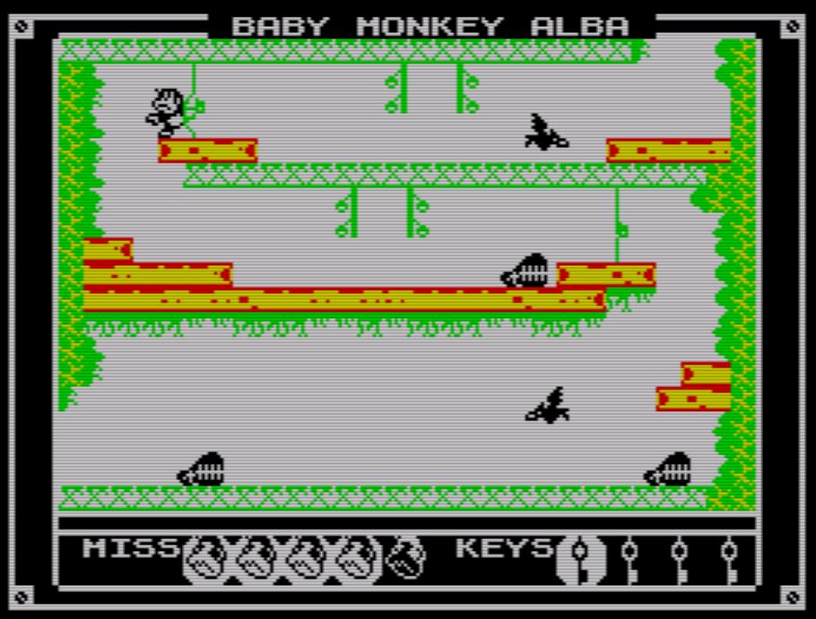Baby Monkey Alba - Screen