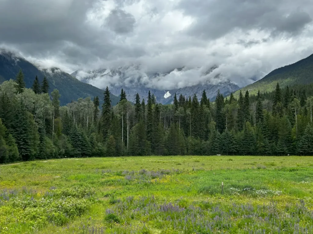 Mount Robson Visitor Center