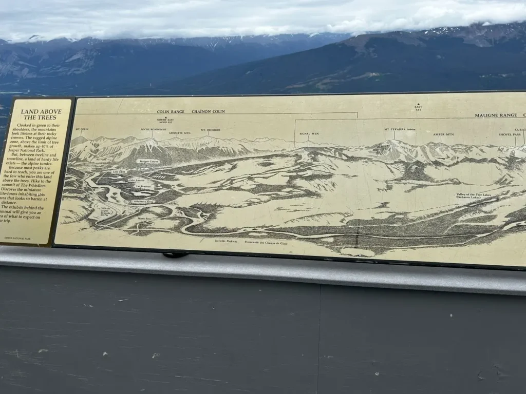 Whistler Mountain