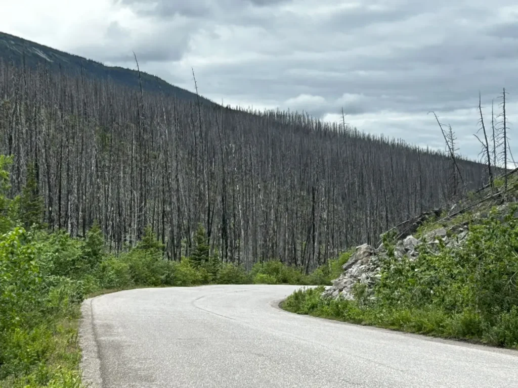 Maligne Lake Road