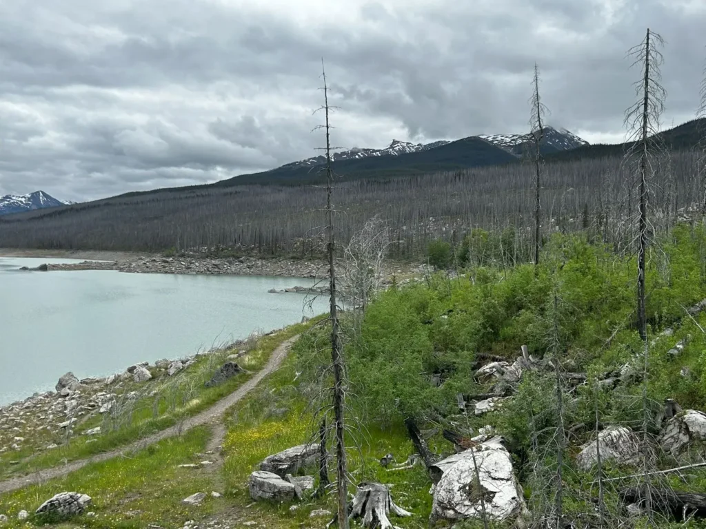 Medicine Lake