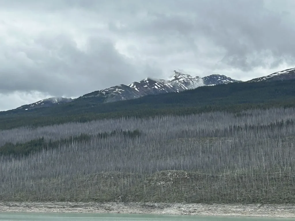 Medicine Lake
