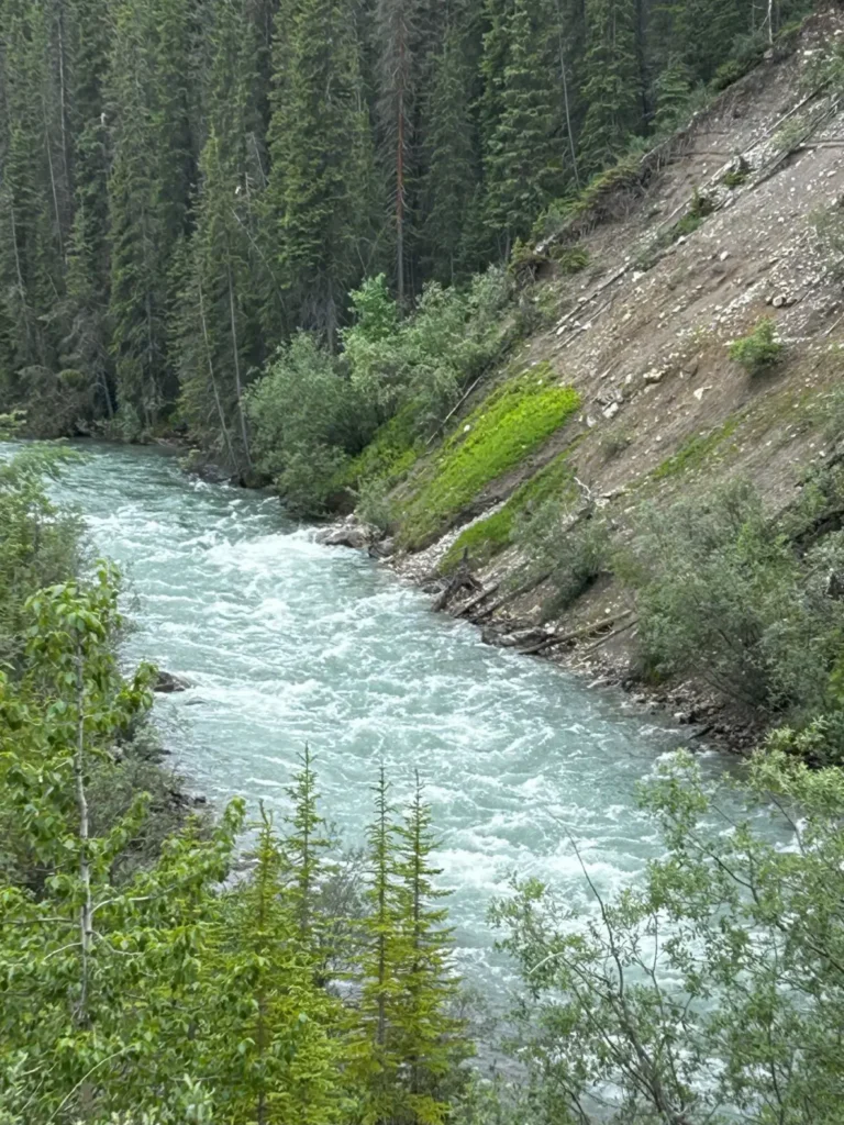 Maligne River