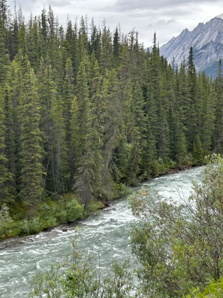 Maligne River