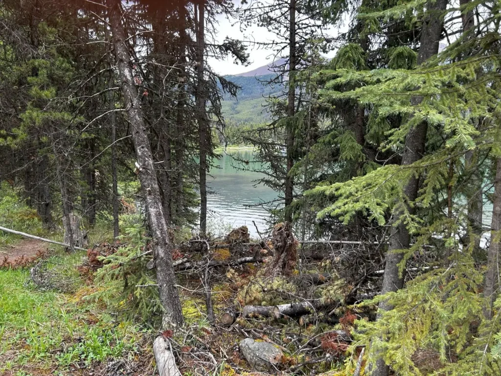 Maligne Lake
