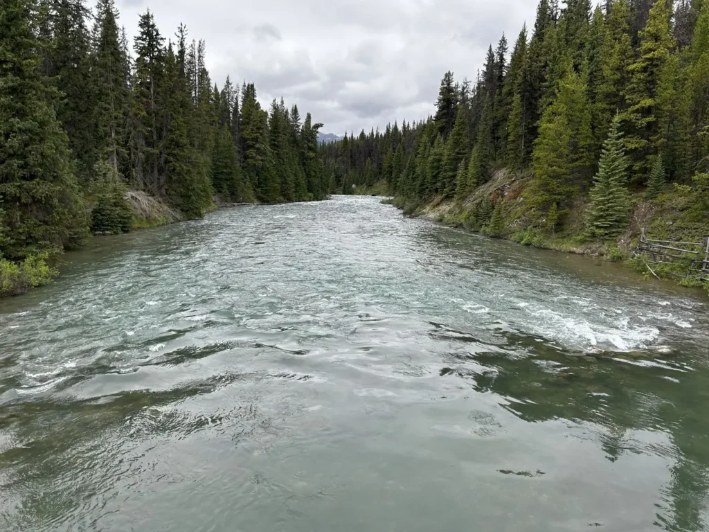 Maligne Lake