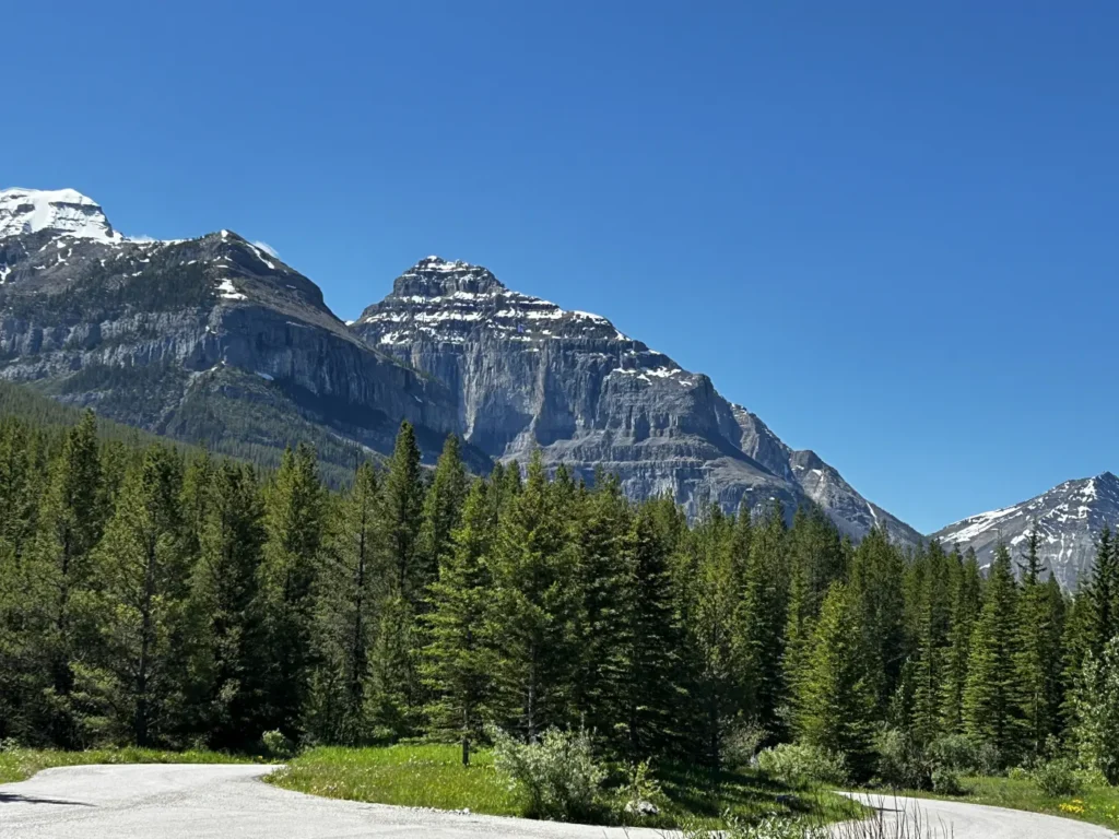 Banff-Windermere Highway am Vermillion Pass (1661 m)