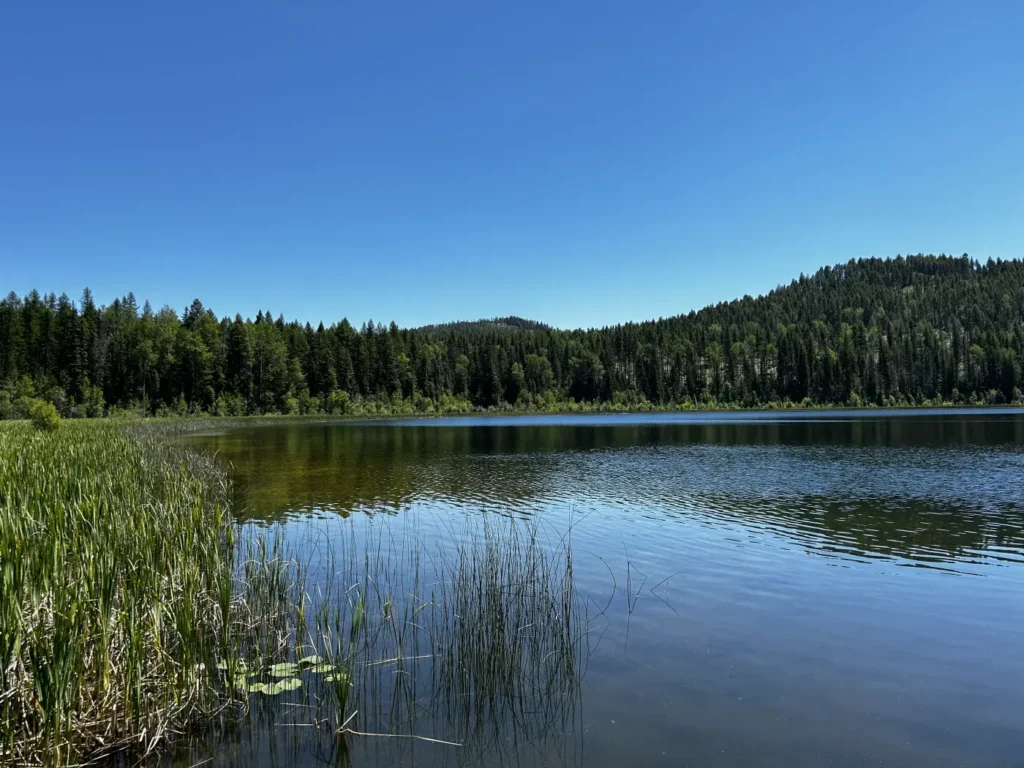 Wilgress Lake