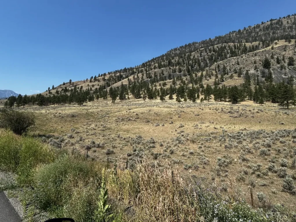 Crowsnest Highway