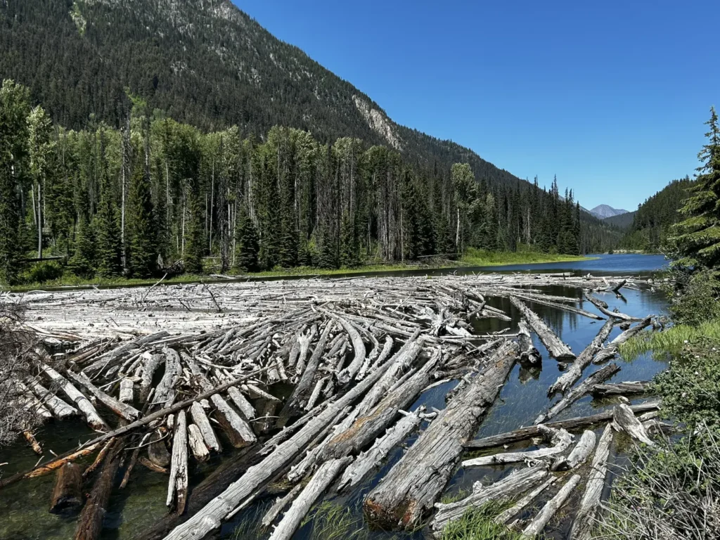 Duffey Lake
