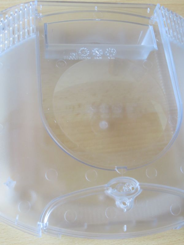 Translucent - Jaguar