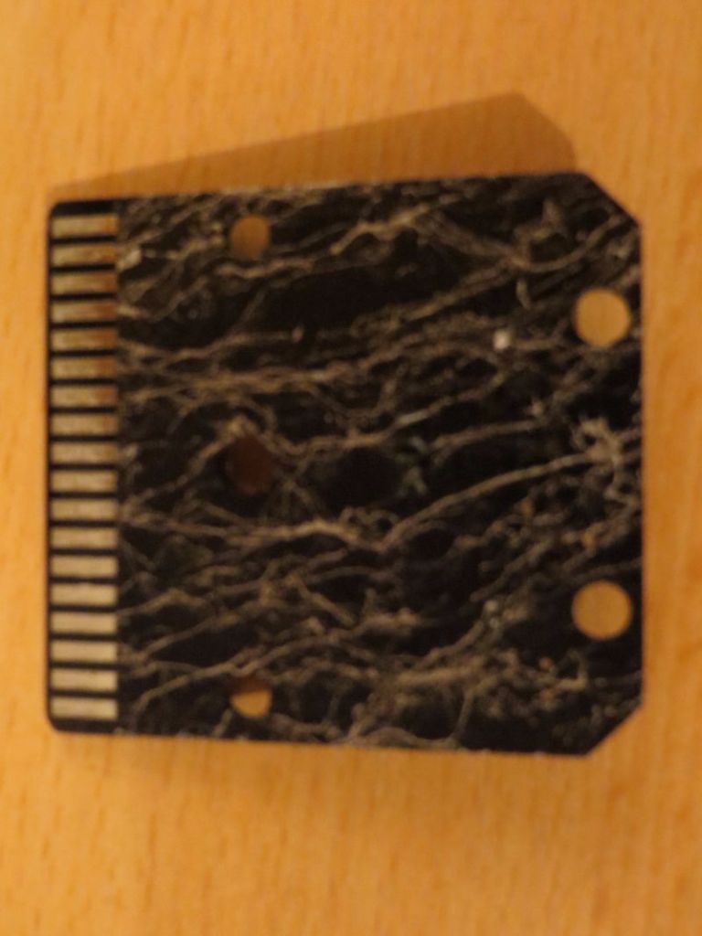 Dead of Knight - Cartridge Rückseite