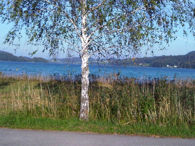 img-20110924-00008