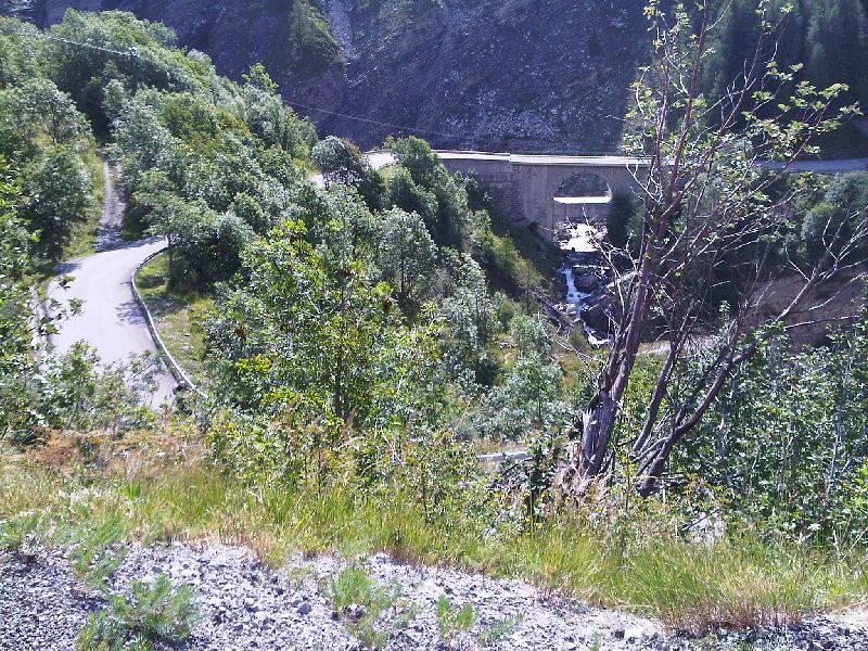 IMG00349-20110801-1019
