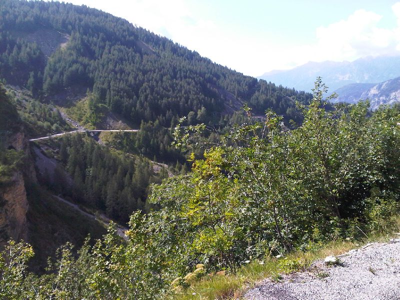 IMG00350-20110801-1019