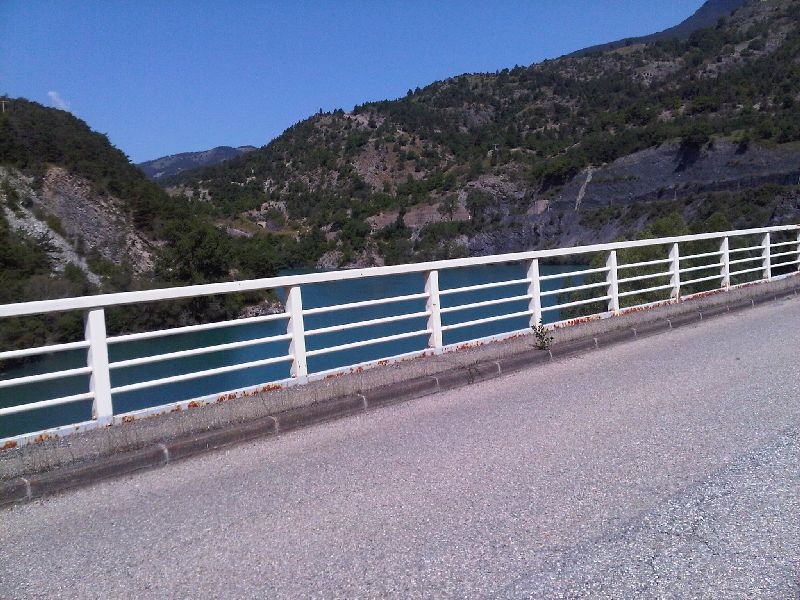 IMG00359-20110801-1158