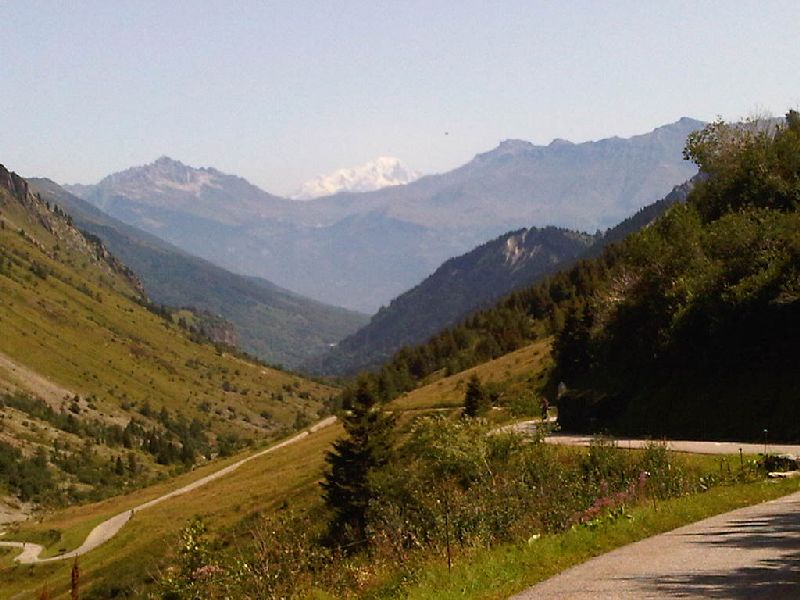 IMG00378-20110802-1147