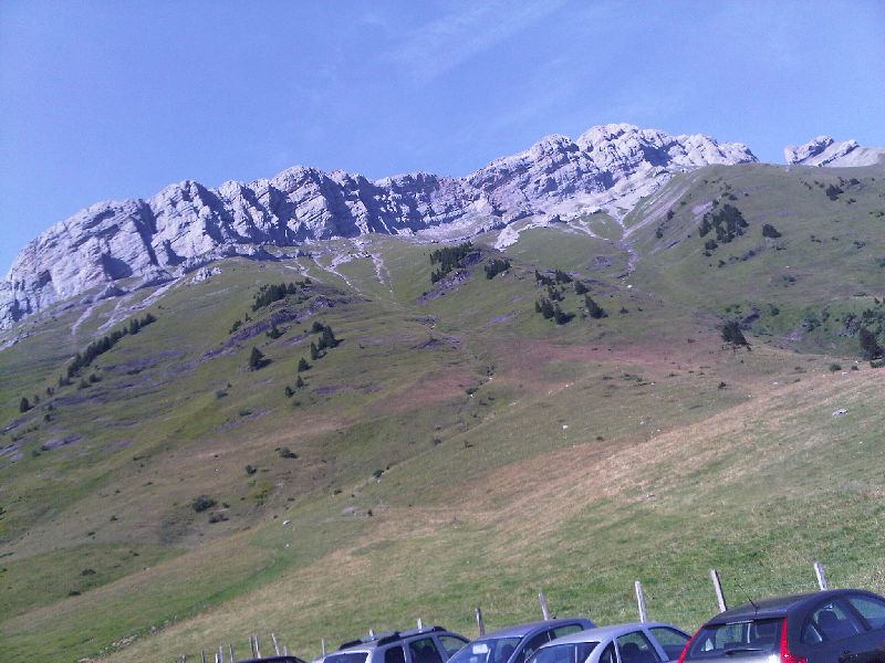IMG00385-20110802-1640