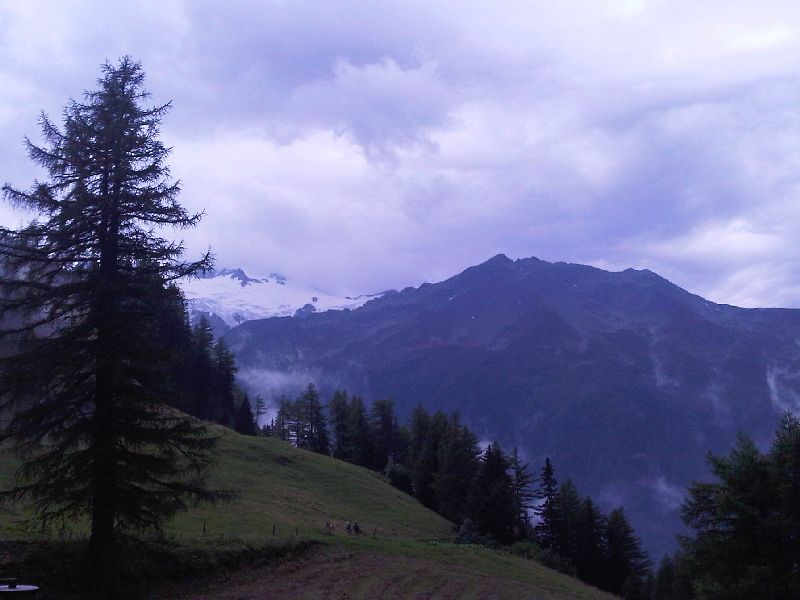 IMG00389-20110803-1130