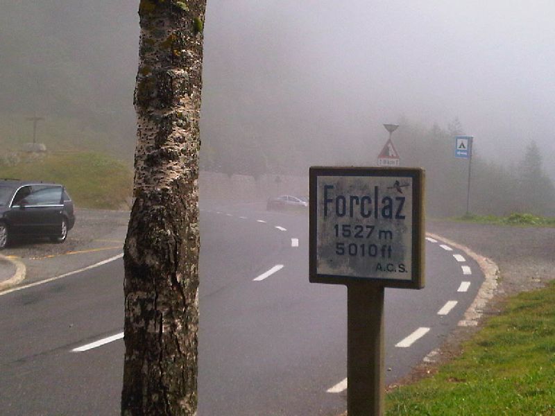 IMG00391-20110803-1131