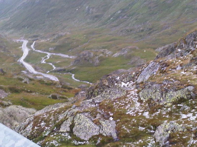IMG00397-20110803-1247