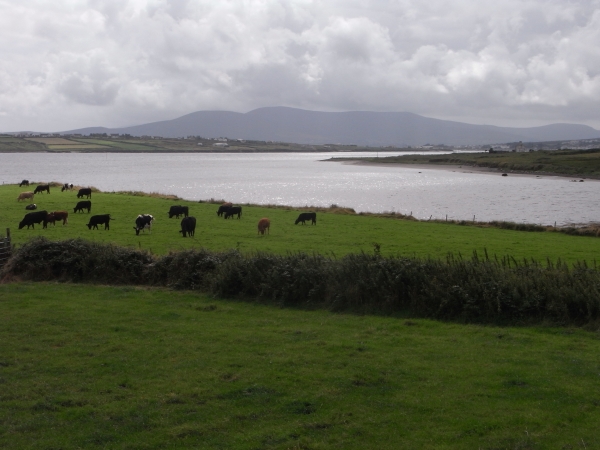irland-2013-tag-3-048