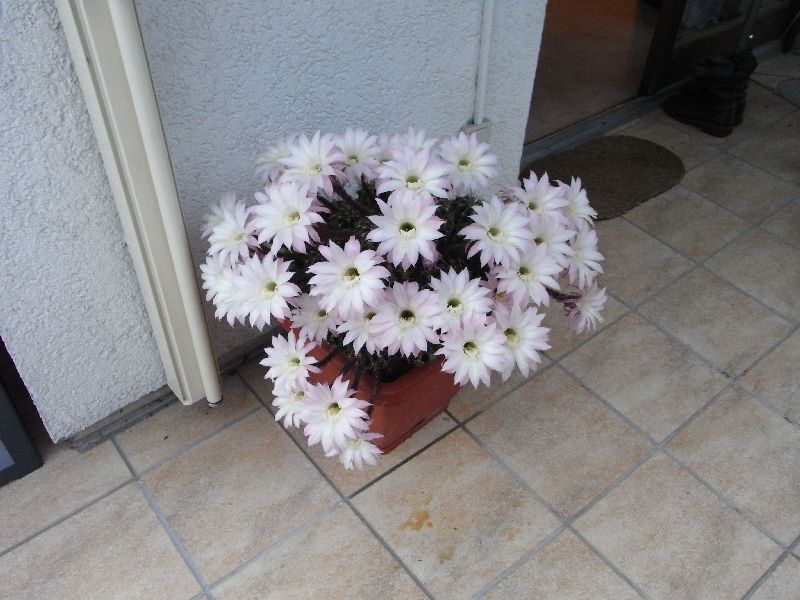 RIMG0196
