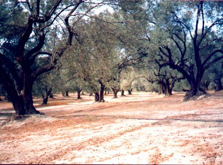 Kreta 1998 Tour 5 Foto 10.jpg