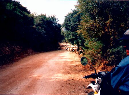 Kreta 1998 Tour 6 Foto 01.jpg