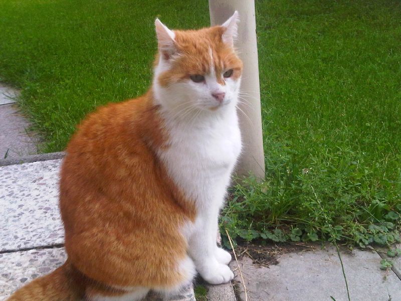 IMG00022-20100621-1135