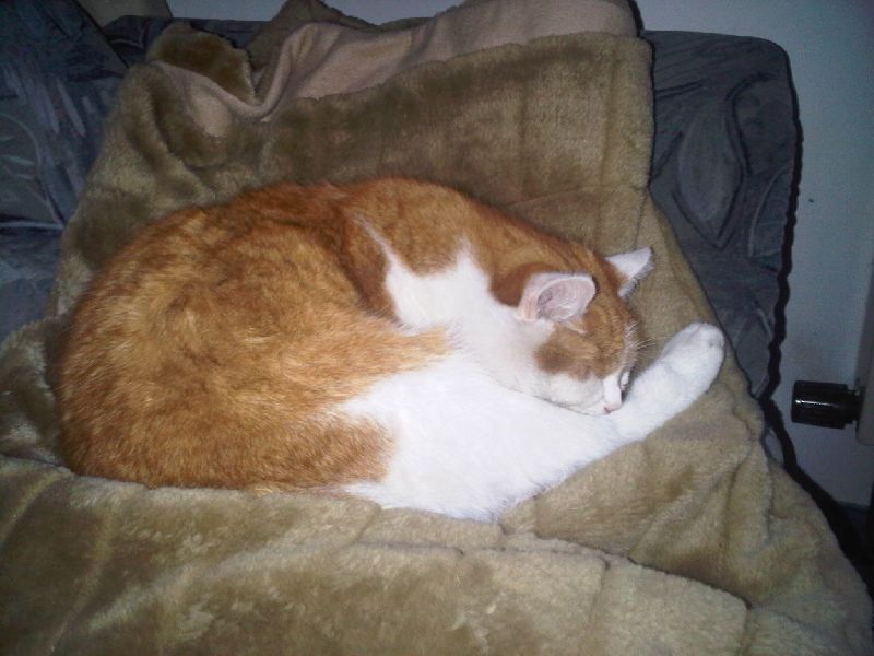 IMG00210-20110326-1717