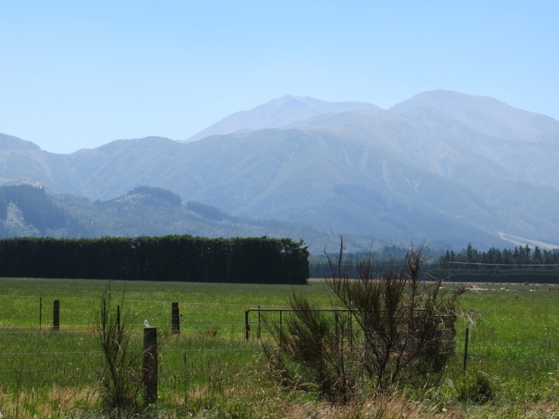 Neuseeland_2014_Tour_1_014