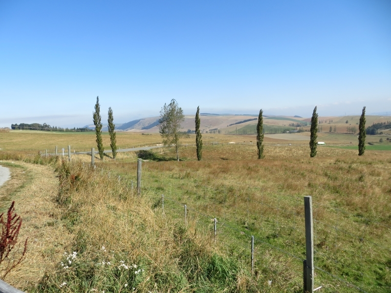 Neuseeland_2014_Tour_1_016