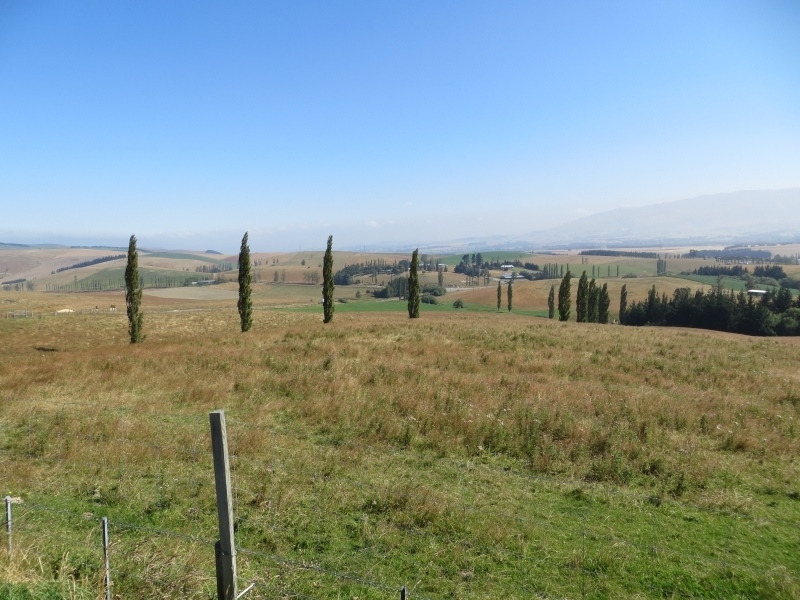 Neuseeland_2014_Tour_1_017