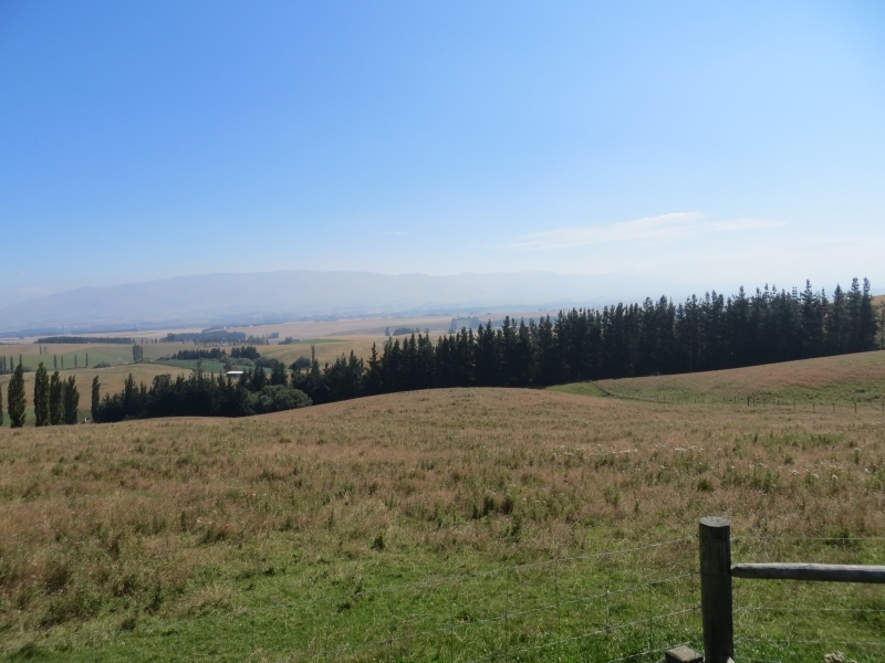 Neuseeland_2014_Tour_1_018