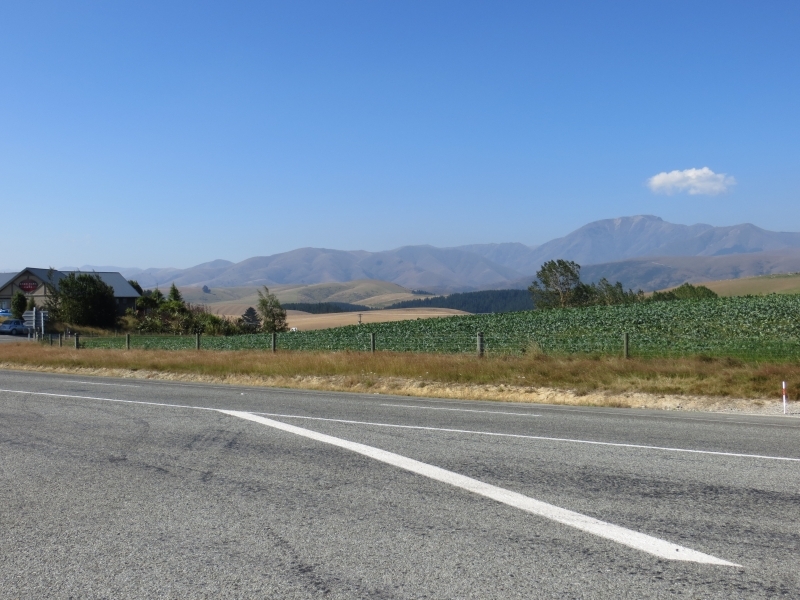 Neuseeland_2014_Tour_1_019