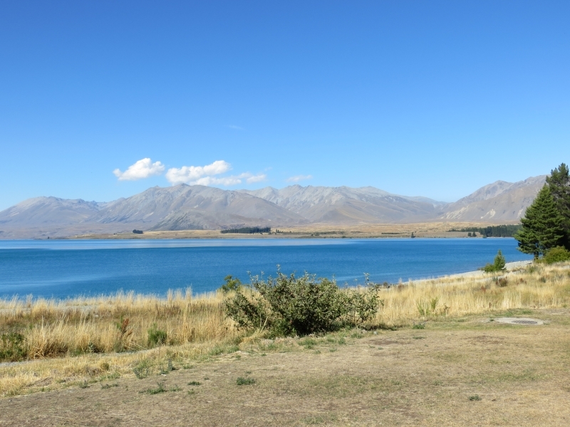 Neuseeland_2014_Tour_1_025