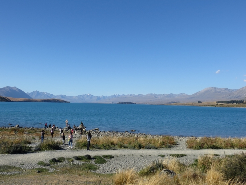 Neuseeland_2014_Tour_1_030