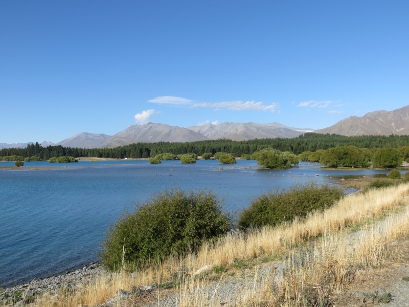 Neuseeland_2014_Tour_1_035
