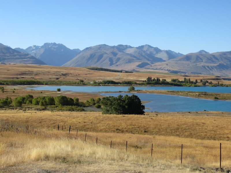 Neuseeland_2014_Tour_1_038