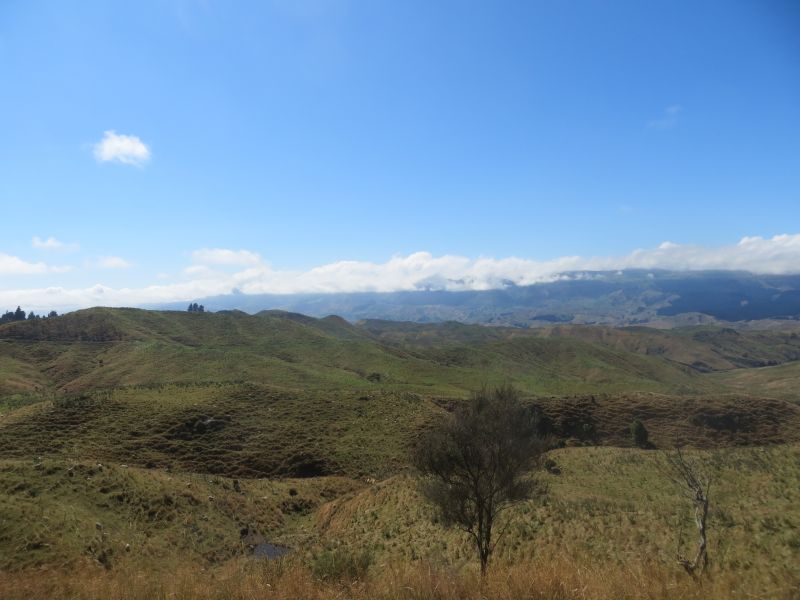 Neuseeland_2014_Tour_13_04