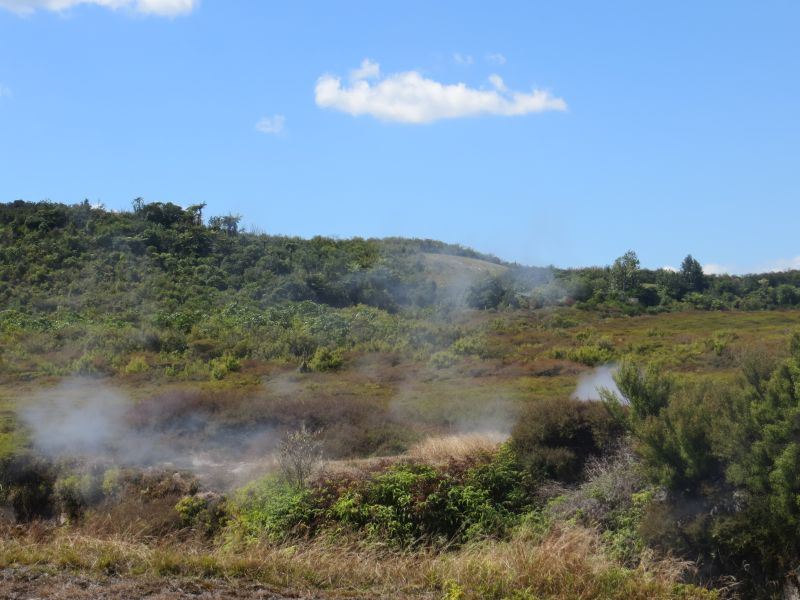 Neuseeland_2014_Tour_13_42
