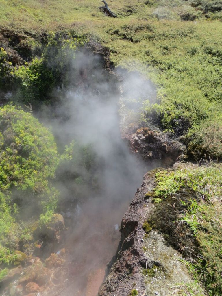 Neuseeland_2014_Tour_13_44
