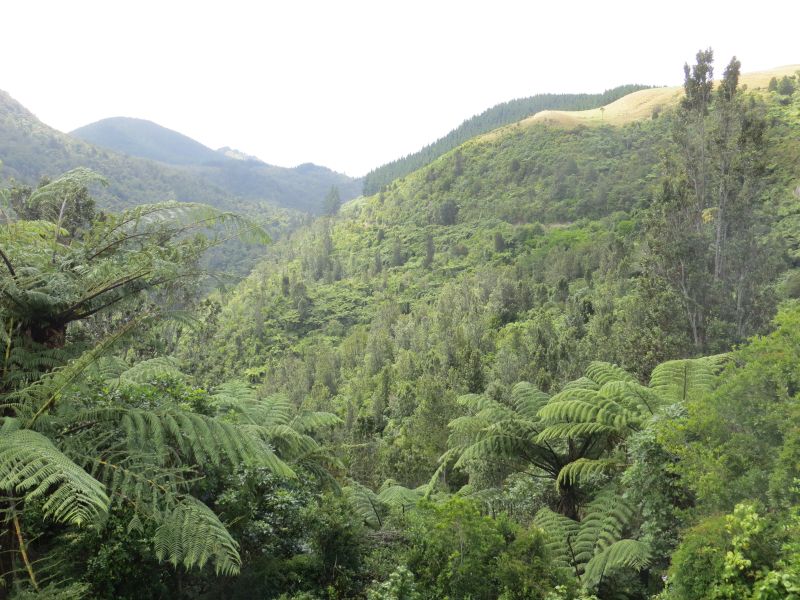 Neuseeland_2014_Tour_14_09