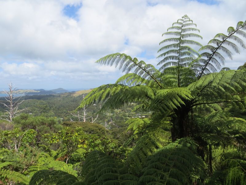 Neuseeland_2014_Tour_15_14