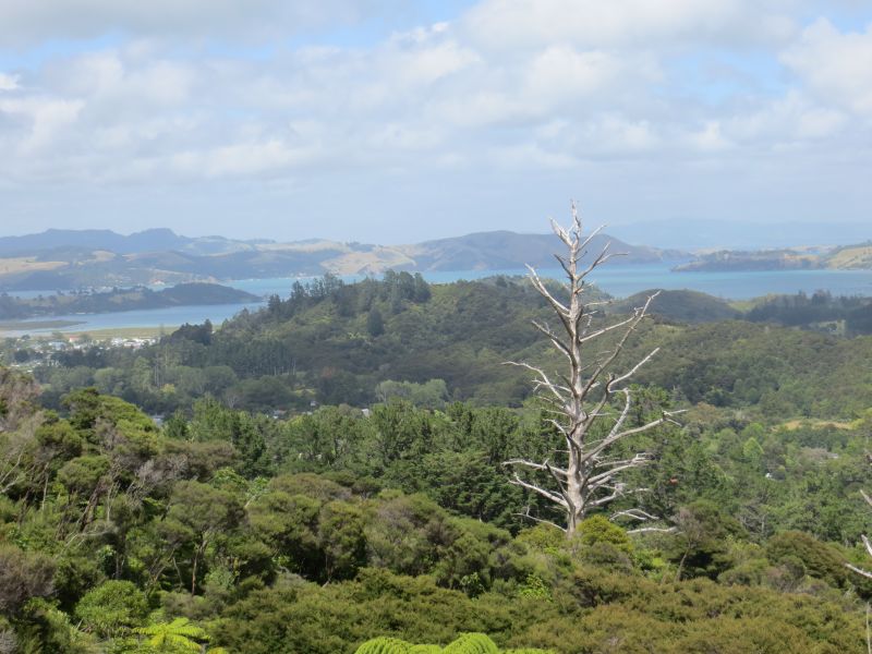 Neuseeland_2014_Tour_15_15