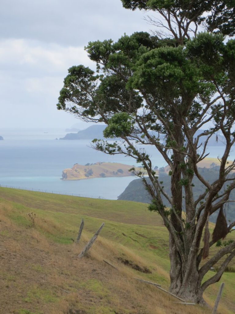 Neuseeland_2014_Tour_15_33