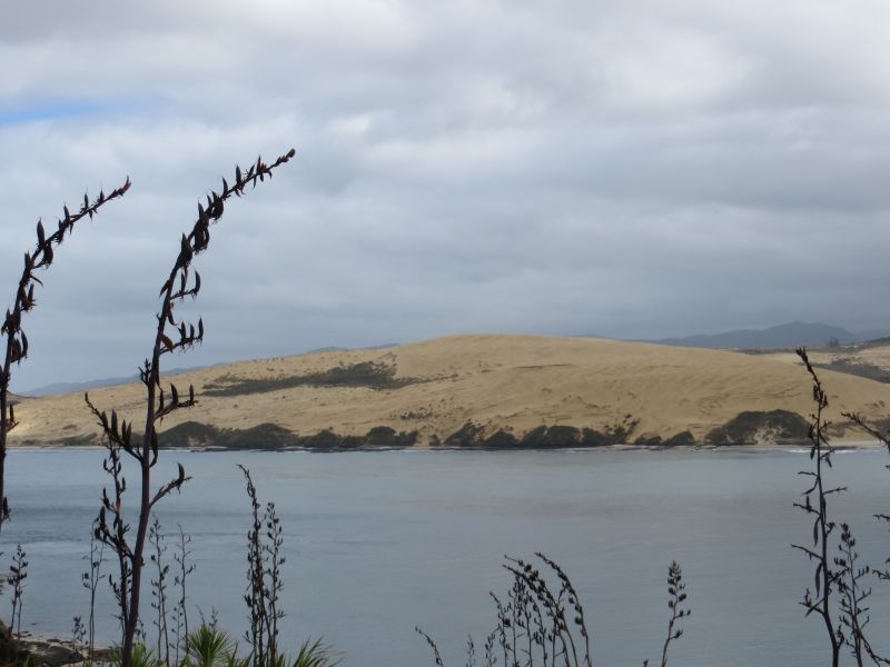 Neuseeland_2014_Tour_18_14