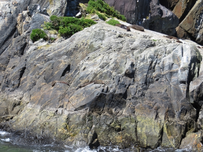 Neuseeland_2014_Tour_3_029